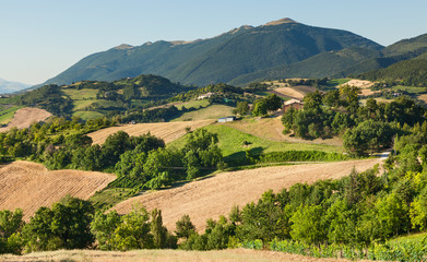 Hilly countryside of le Marche, Italy