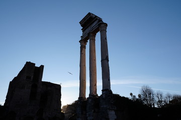 Rome Roma Foro Romano Roman Forum Italy