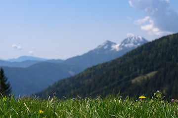 sharp grass meadow in front and unsharp mountains in background