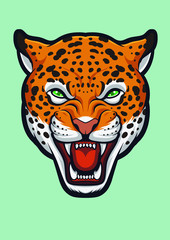 Fototapeta na wymiar Angry Jaguar face, Panthera Onca