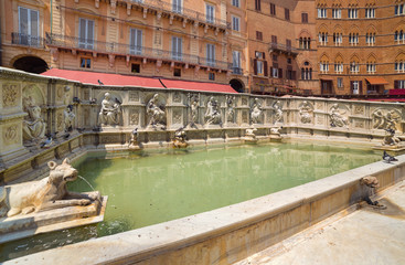 The famous fountain of Siena. Italy