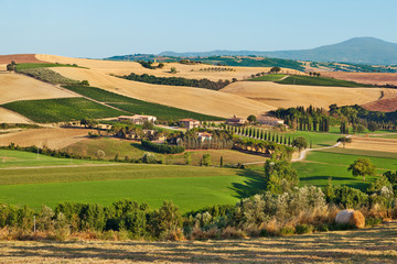 Fototapeta na wymiar Tuscany landscape. Italy