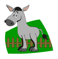 Donkey standing with a wooden fence behind and a green background. Cartoon style vector illustration.