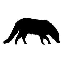 African Civet Silhouette Vector Style