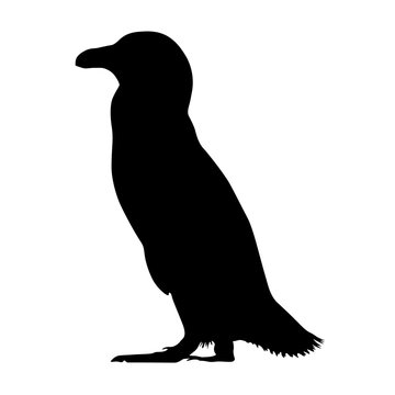 recommend clip art: African Penguin Silhouette Vector Style