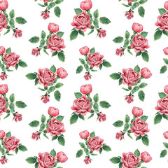 Seamless pattern, made of pink blooming roses, hand drawn botanical illustration, isolated on white.