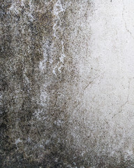 Old dirty wall texture making a beautiful Background for wallpaper- growth of fungal and rain water make the texture on it
