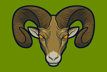 Bighorn Sheep vector for illustration/logo