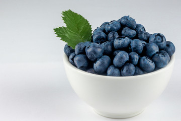 blueberries in a white plate on a white background, isolate on white, lesnya berry, place for text