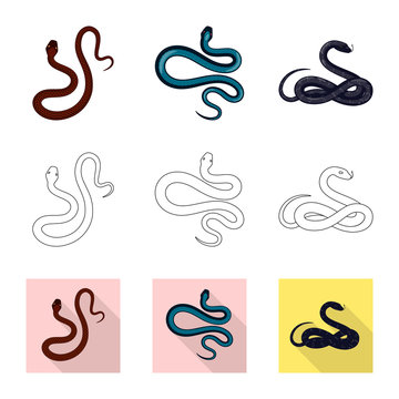 Vector design of mammal and danger symbol. Collection of mammal and medicine stock symbol for web.