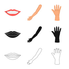 Fototapeta premium Vector illustration of body and part logo. Collection of body and anatomy stock symbol for web.