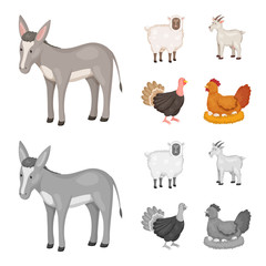 Vector illustration of breeding and kitchen sign. Set of breeding and organic stock symbol for web.