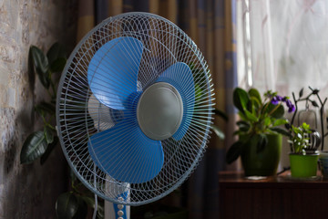 Home ventilator