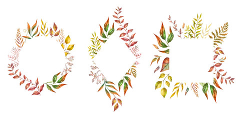 Herbal mix vector frame. Hand painted plants, branches and leaves on white background. Natural fall card design.