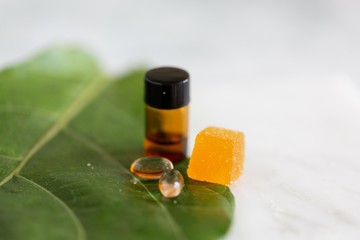 CBD Edibles Capsules and Tinctures