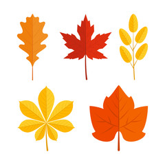 Colorful leaves in flat style, icons set