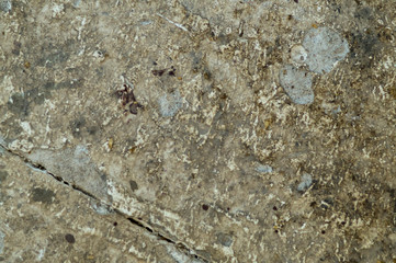  Concrete, textural background with blue, gray and black splashes of various sizes.