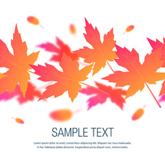 Colorful leaves in flat style, frame template