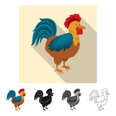 Vector design of cock and bird symbol. Set of cock and husbandry stock vector illustration.
