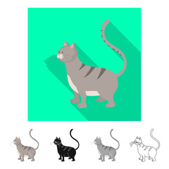 Vector design of cat and kitten logo. Collection of cat and animal stock symbol for web.