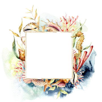 Watercolor border with coral reef plants and seahorse. Hand painted seaweeds, shells and starfish isolated on white background. Nautical template. Illustration for design, print or background.