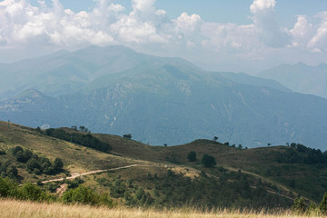 mountain meadow with trees, mountain view, white clouds, mountain road, summer, sunny