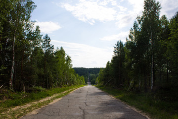 Obraz premium The road in the forest clear year-old day