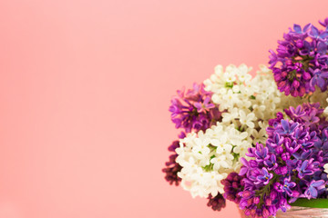Romantic background with purple and white lilacs on pink and place for text