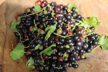 Ribes nigrum commonly The blackcurrant or black currant in a wooden pot on wooden background, in artistic Still life style