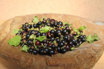 Ribes nigrum commonly The blackcurrant or black currant in a wooden pot on wooden background, in artistic Still life style