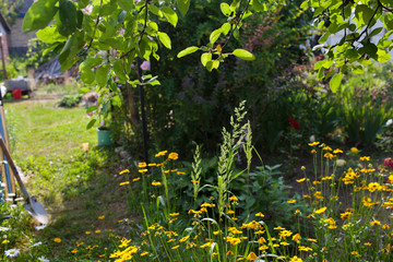 A flower garden in the backyard.Selective focus