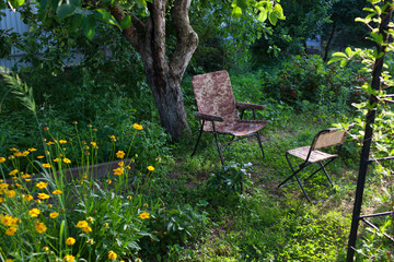 A flower garden in the backyard.Selective focus