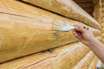 Applying varnish paint on a wooden surface. Man hand with a brush  closeup. Painting walls of a log house.