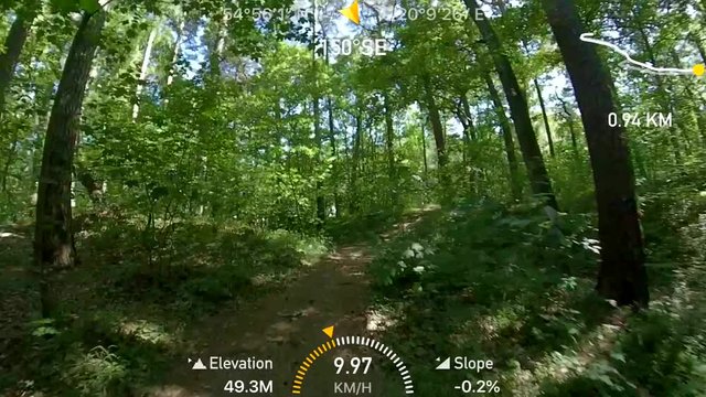POV biking in the summer forest