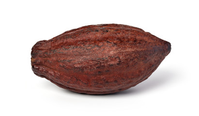 Cocoa pod on a white background