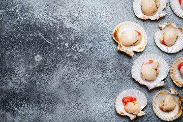 Raw fresh uncooked scallops