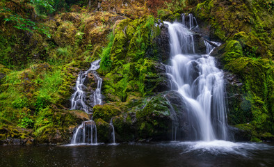 Obraz premium Little Mashel Falls In Washington State