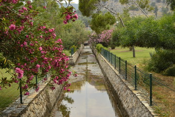 old wooden bridge in the park