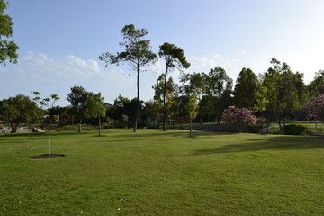 golf course in the park
