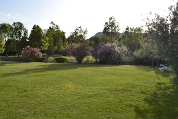 park