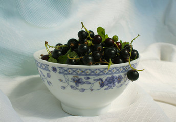 Ribes nigrum commonly The blackcurrant or black currant in white bowl, macro photography, fresh