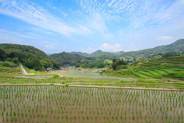 鬼木の棚田　長崎県波佐見町