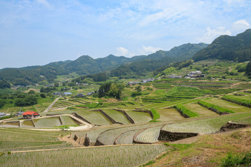 鬼木の棚田　長崎県波佐見町