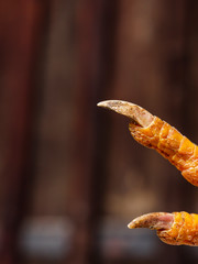 claw of dead chicken with blurry background
