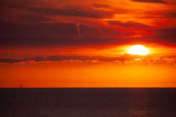 Obraz premium An oil platform in the sea in the distance on the horizon in the sunset.