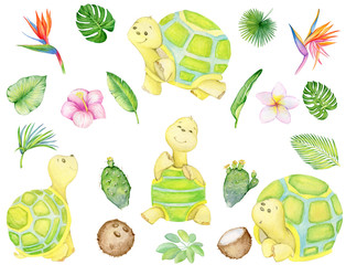 tropics, turtle cute, tropical plants, watercolor set.