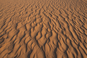 sands of the desert in Dubai emirate, UAE.