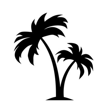 Vector black silhouette of palm trees isolated on a white background.