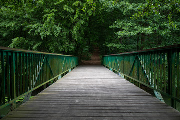 Obraz premium Footbridge over the water leading to the park. Passage over the water in the forest area.