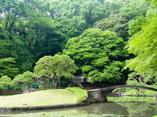 japanese garden in spring